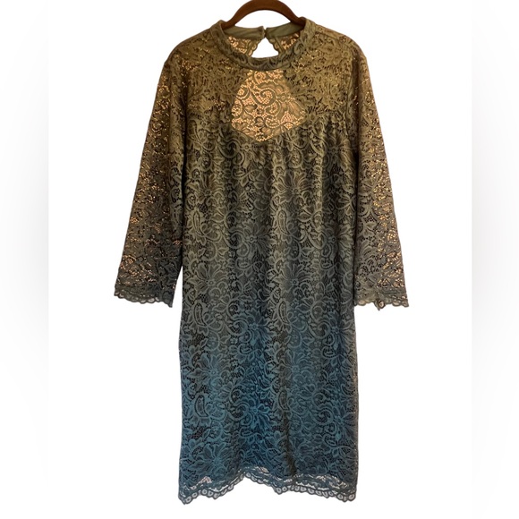 Reitmans Dresses & Skirts - Reitman's Dress Size 2X Green Lace Lined Long Sleeves